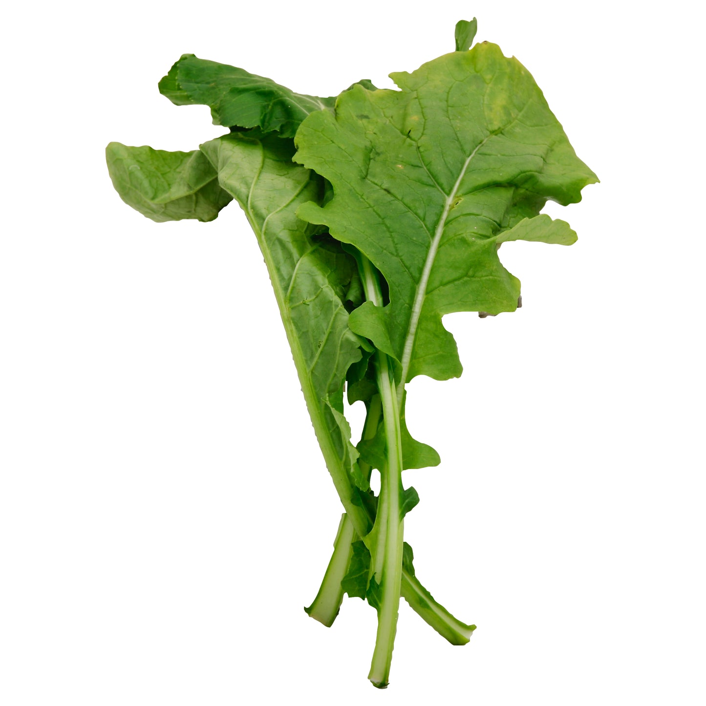 Mustard Greens