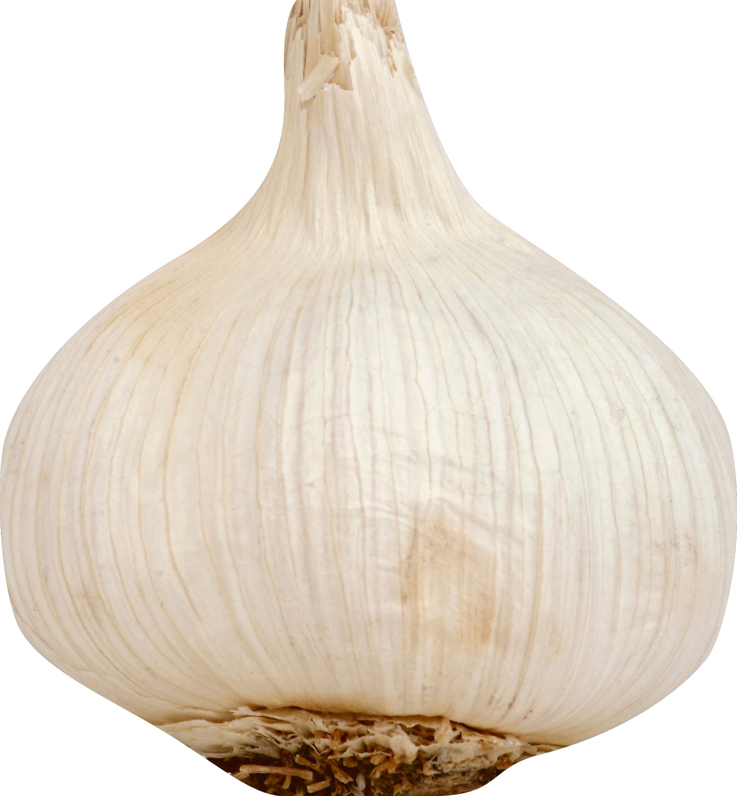 Garlic - Bag