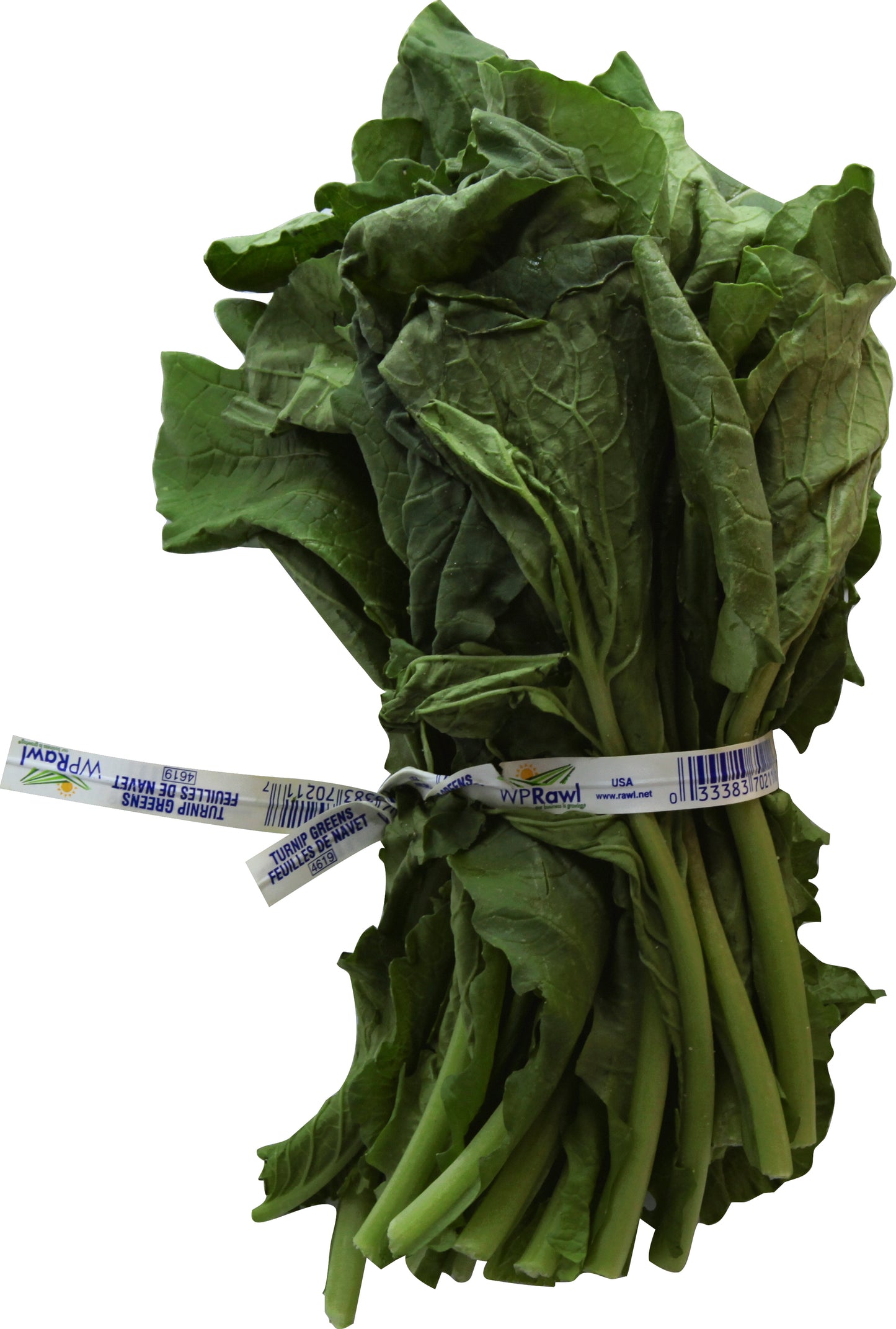 Green Turnip