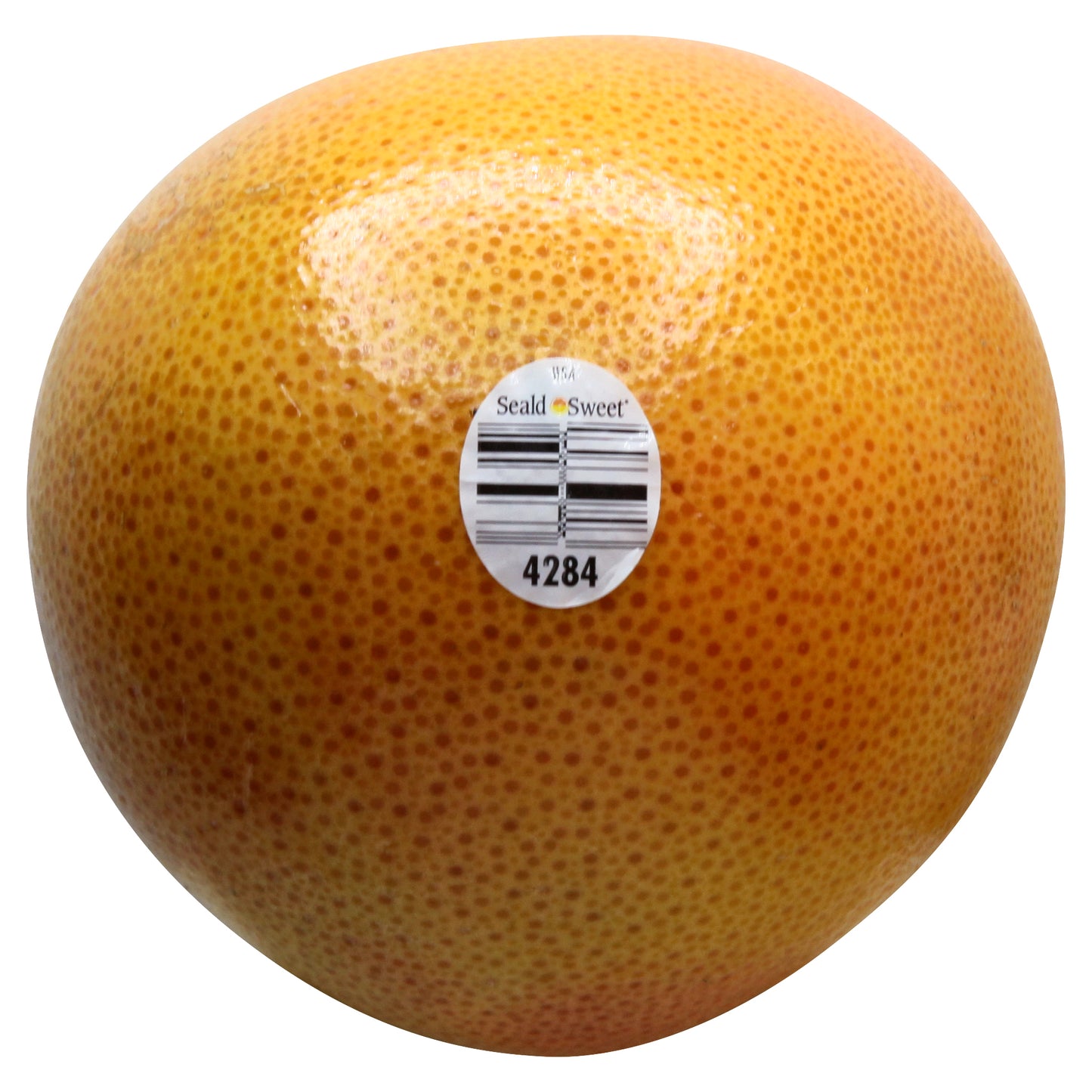 Ruby Red/Pink Grapefruit - Small