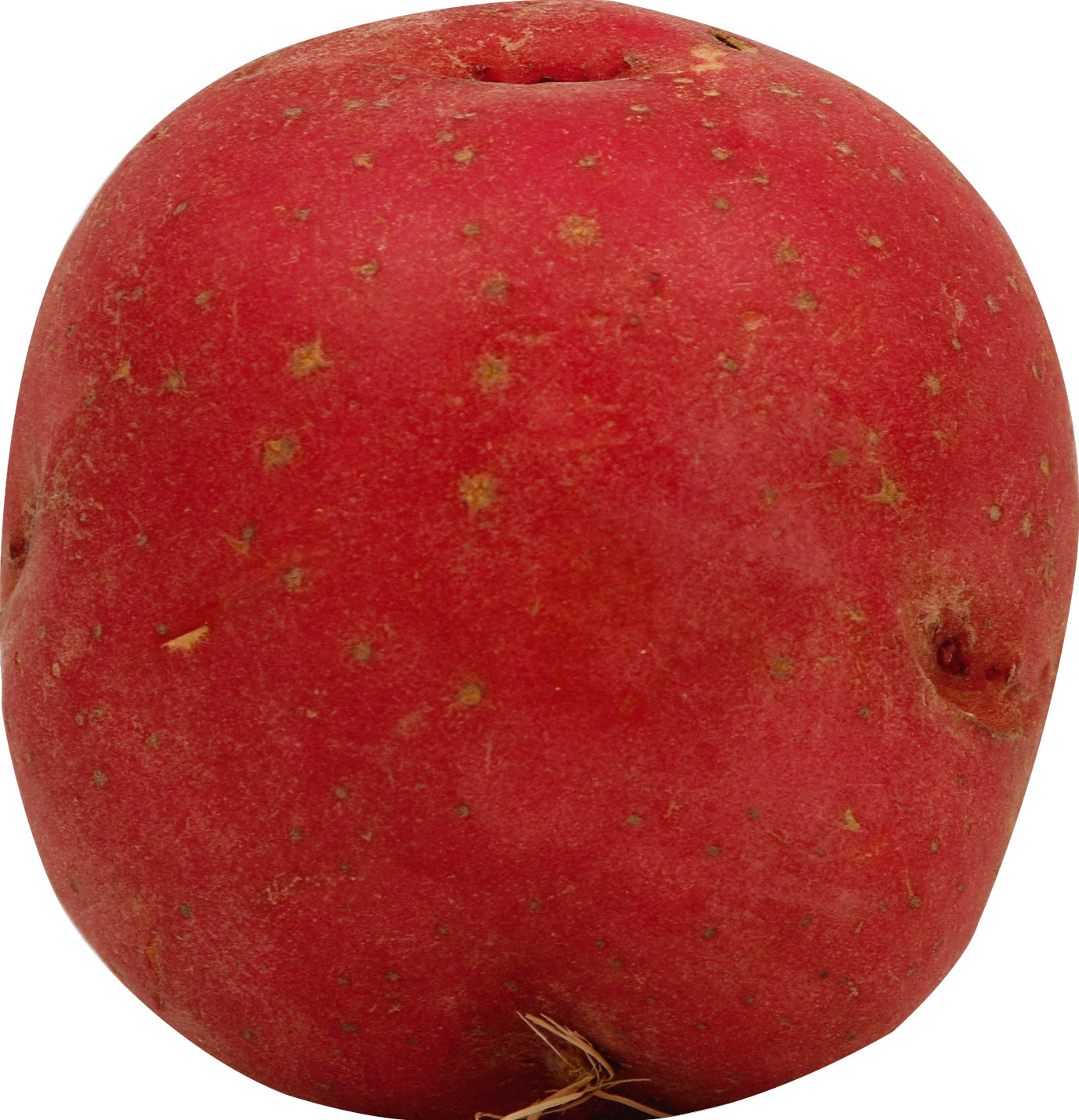 Red Potato - 3LB Bag
