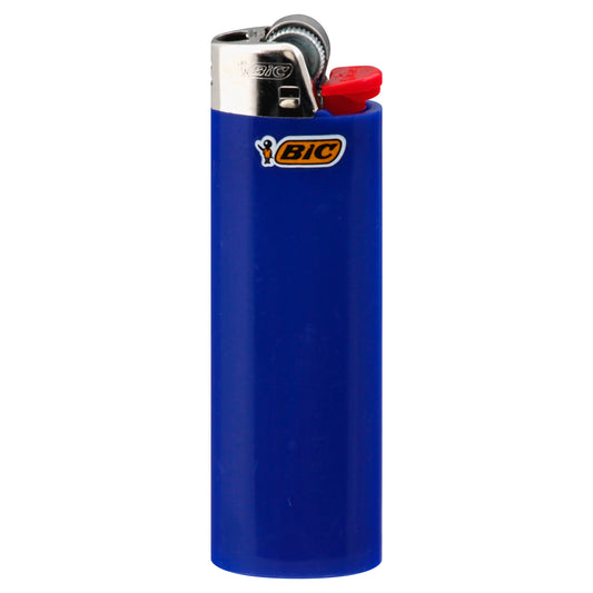 BiC Lighter 1 ea