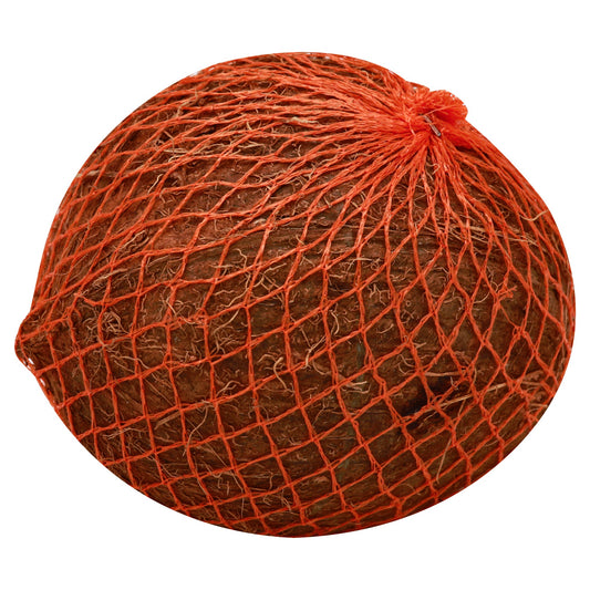 Coconut