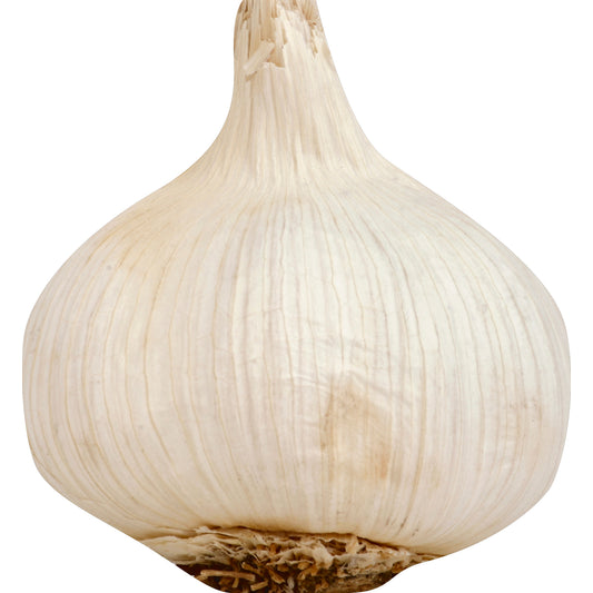 Garlic - Bag