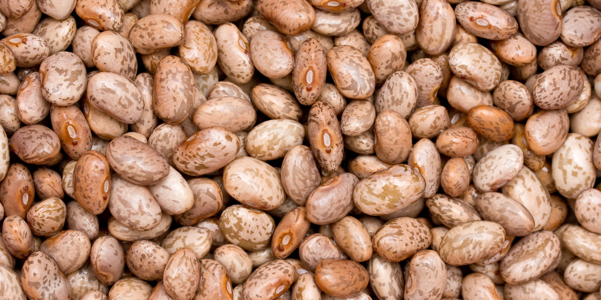 Close-up of dried beans with a brown and beige color pattern